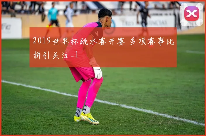 2019世界杯跳水赛开赛 多项赛事比拼引关注_1
